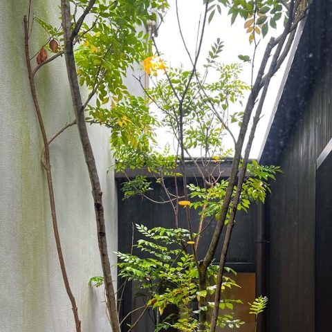 株式会社山本嘉寛建築設計事務所の注文住宅・家つくりの特徴｜大阪府大阪市で叶える高性能で自分らしい住まい