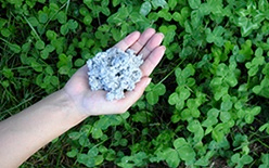 大建建設の注文住宅・家づくりの特徴｜新潟県新潟市で叶える高性能で自分らしい住まい