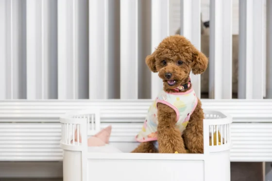 シェルピア高畑建設の注文住宅・家づくりの特徴｜岐阜県岐阜市で叶える高性能で自分らしい住まい