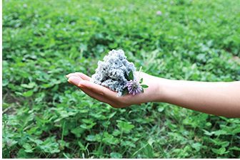 大建建設の注文住宅・家づくりの特徴｜新潟県新潟市で叶える高性能で自分らしい住まい