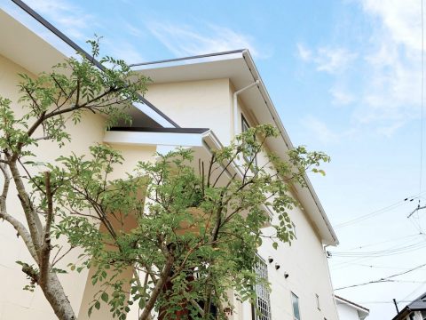 住宅展示場ネット　注文住宅　モデルハウス　工務店　三幸住研　豊中市